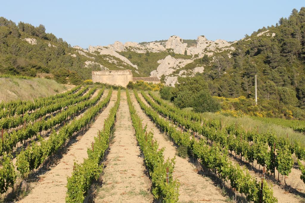 La Montagute Villa Thezan-des-Corbieres Exteriör bild