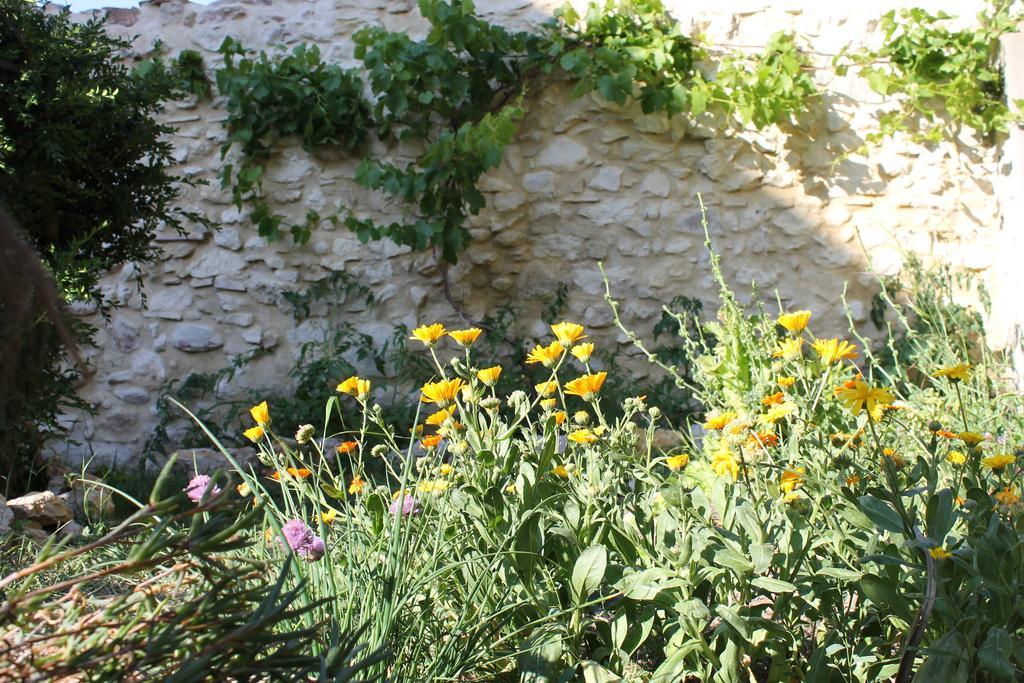 La Montagute Villa Thezan-des-Corbieres Exteriör bild